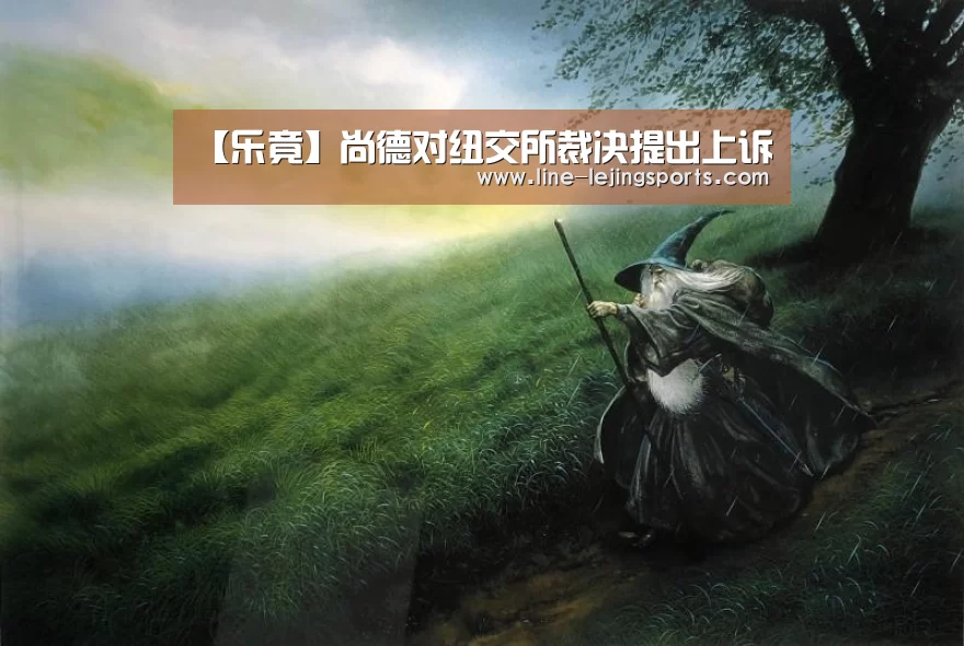 【乐竟】尚德对纽交所裁决提出上诉(图2) 乐竟app
