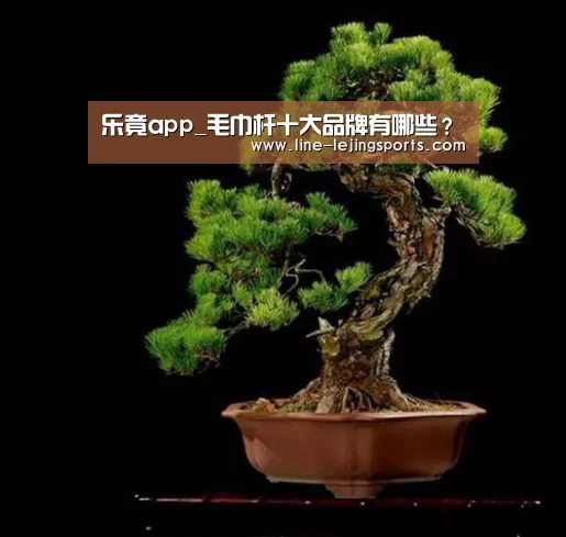 乐竟