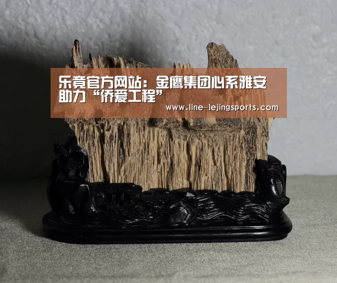 乐竟官方网站:金鹰集团心系雅安 助力“侨爱工程”(图1) 乐竟