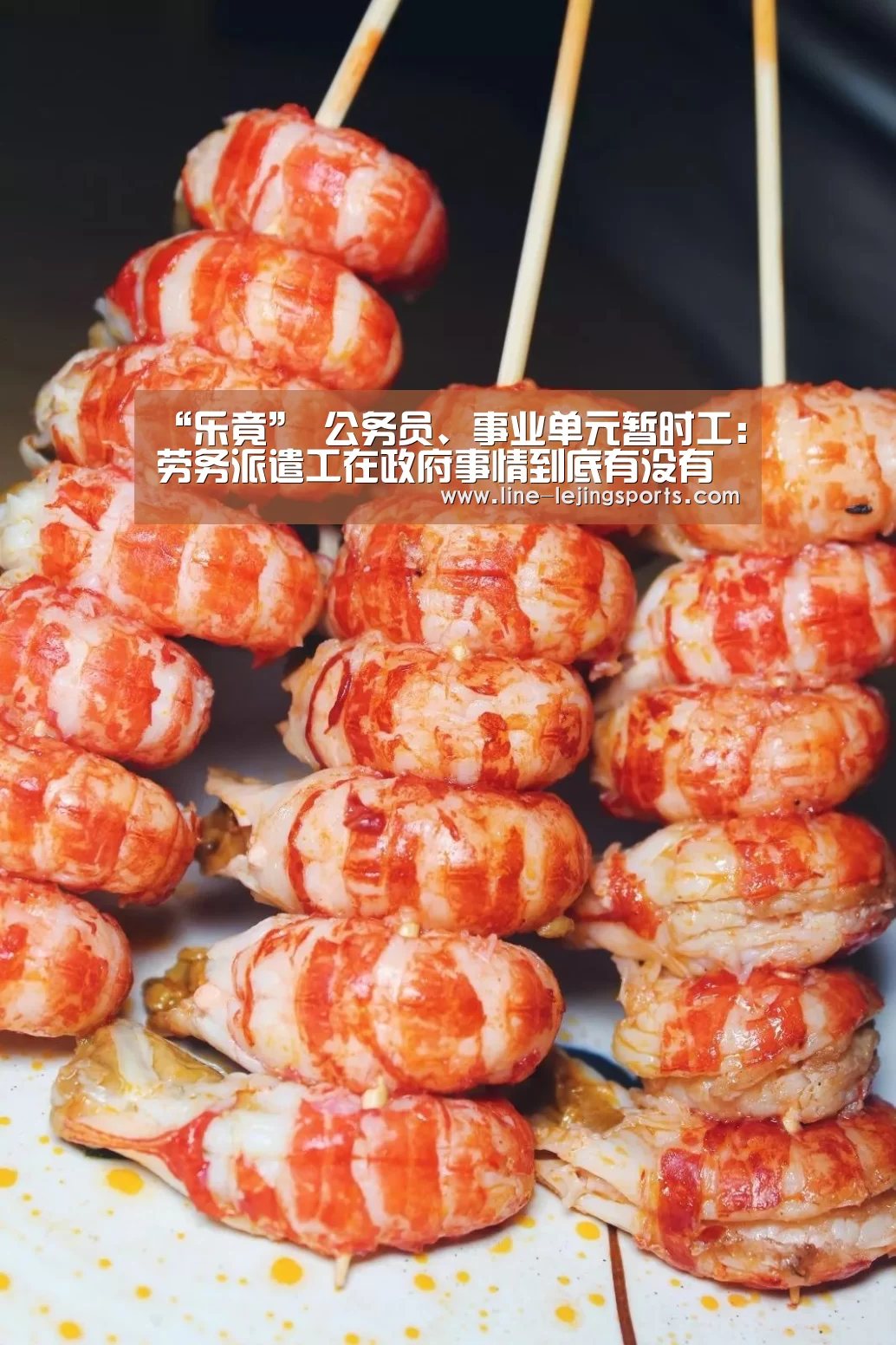 乐竟官方网站