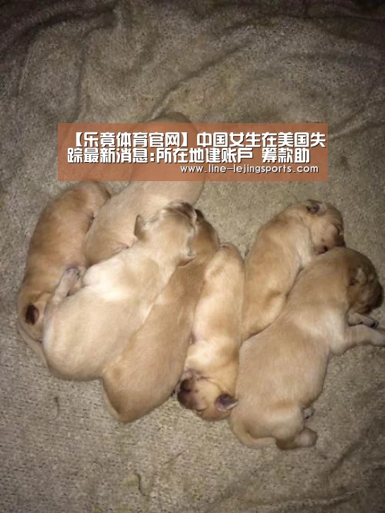 乐竟体育官网